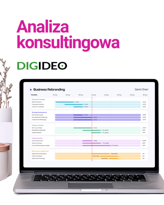 Analiza konsultingowa - Digideo ecommerce konsulting